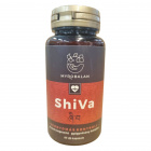 Myrobalan ShiVa - vérnyomáscsökkentő kapszula 60db 