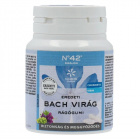 Lemon Pharma Bach Nr.42. Confidense (önbizalom) virágterápiás rágógumi 60g Lemon Pharma Bach Nr.42. Confidense (önbizalom) virágterápiás rágógumi 60g
