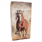 GAL Shoden ashwagandha kapszula 60db 