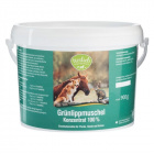 Sanct Bernhard Zöldkagyló koncentrátum lovaknak, kutyáknak, macskáknak 900g Sanct Bernhard Zöldkagyló koncentrátum lovaknak, kutyáknak, macskáknak 900g