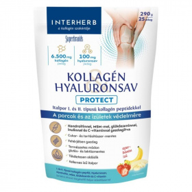 Interherb Kollagén Hyaluronsav italpor - protect 290g