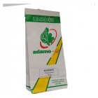 Adamo szurokfű (oregánó) tea 50g Adamo szurokfű (oregánó) tea 50g