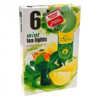 Admit teamécses - menta 6db 