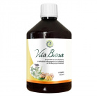 Vita Crystal Vita Biosa fermentált ital - gyömbér 500ml Vita Crystal Vita Biosa fermentált ital - gyömbér 500ml